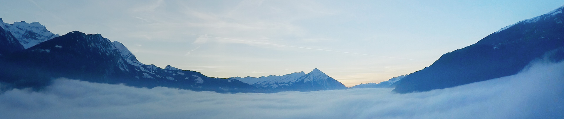 �й�������yl23455(�ɷ�)���޹�˾-�ٷ���վ