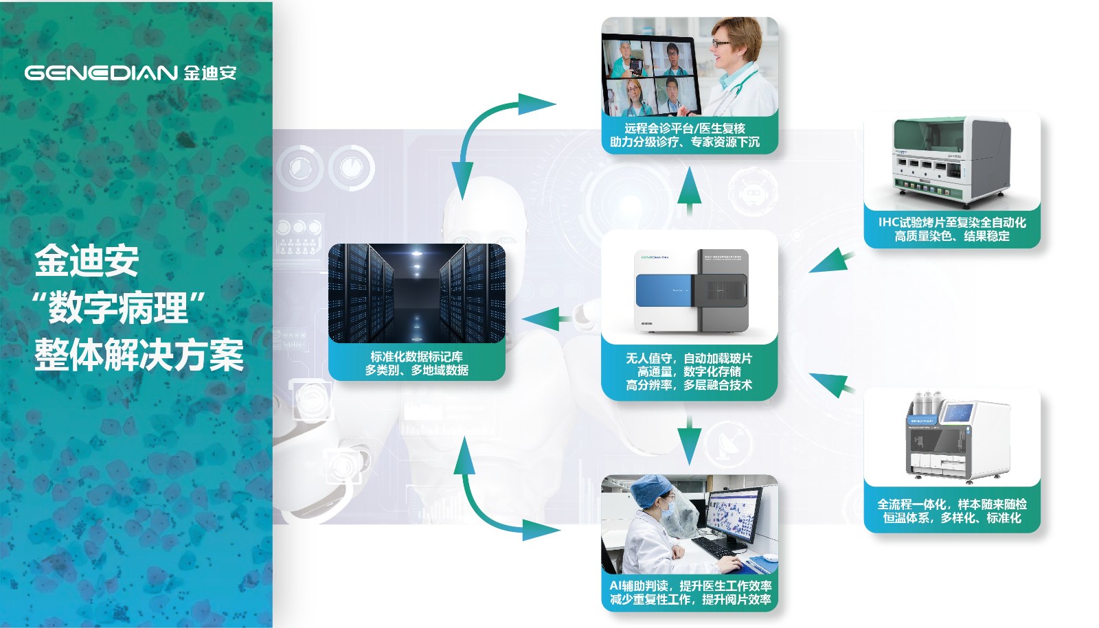 ���� 2 ����@8x-100(1).jpg