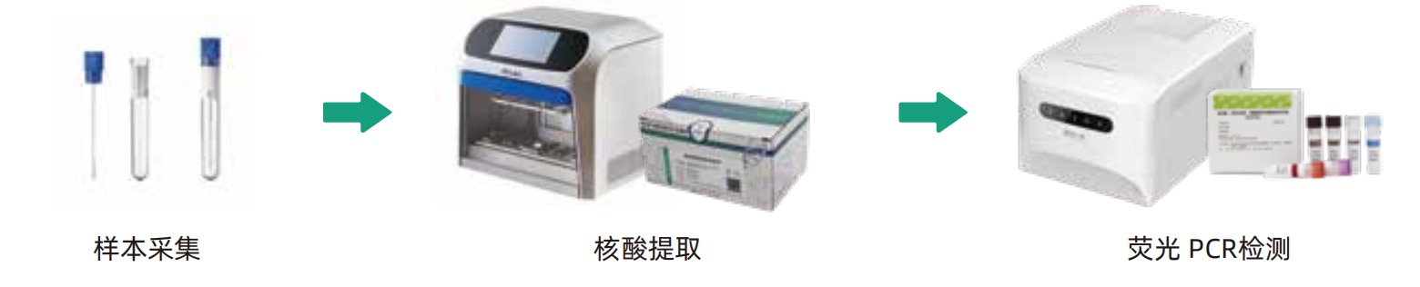 1692688418315784.jpg 6.jpg