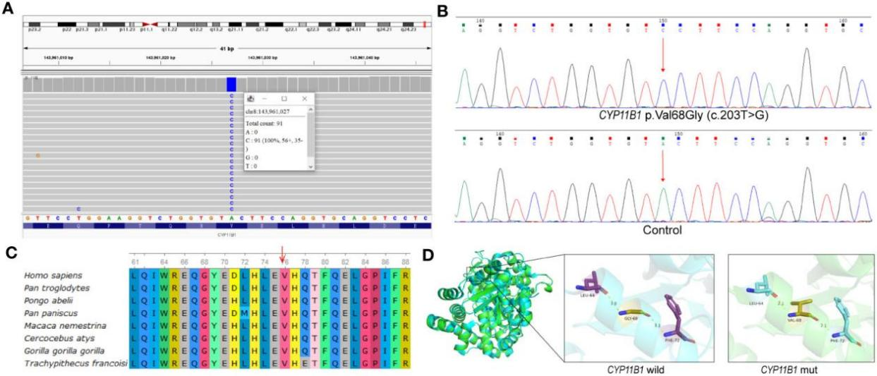 1702517132275294.png ͼƬ 3.png