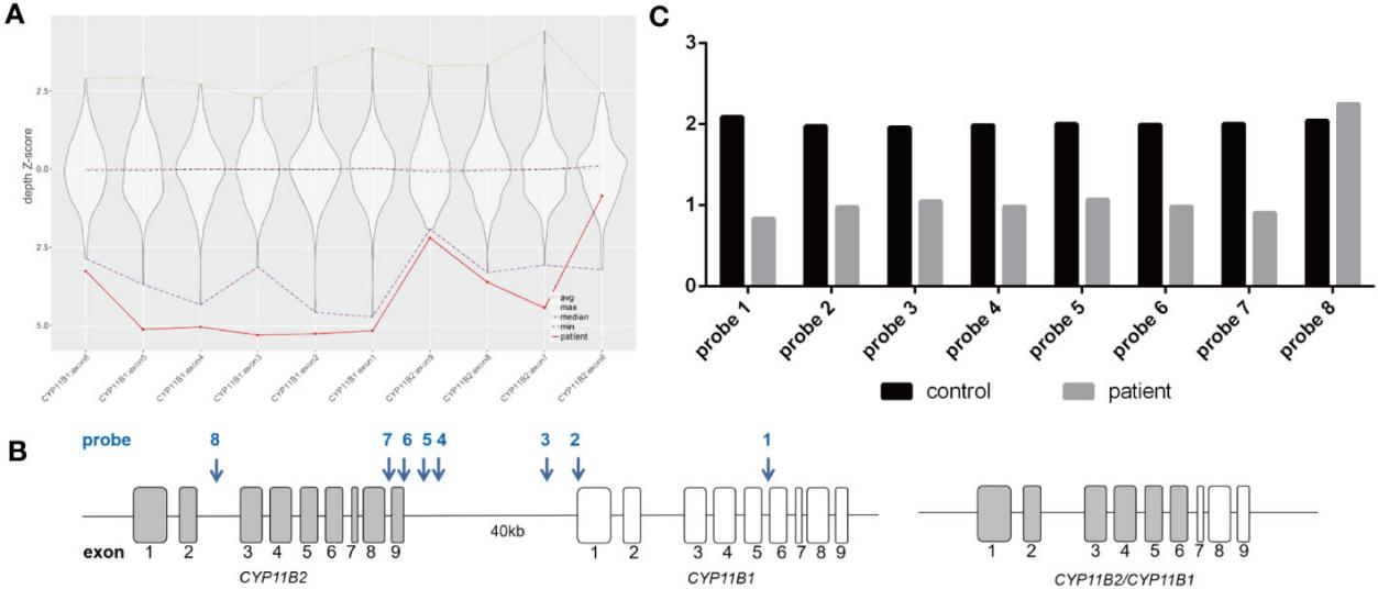 1702517170164212.png ͼƬ 4.png
